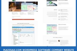 Plazesale WordPress Software Company Website Development