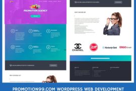 Promotion99 WordPress Web Development