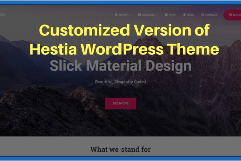 WordPress Hestia Customized Version Theme